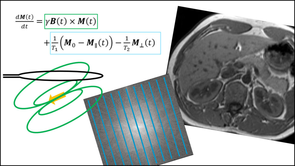 Logo Lehre MRI1