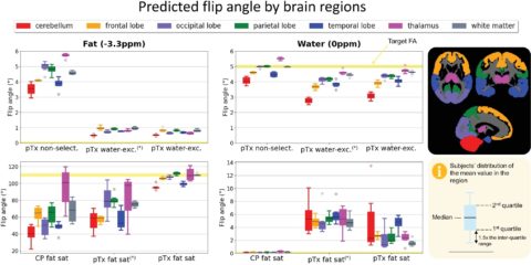 Zum Artikel "New paper: Clinically compatible subject-specific dynamic parallel transmit pulse design for homogeneous fat saturation and water-excitation at 7T: Proof-of-concept for CEST MRI of the brain"