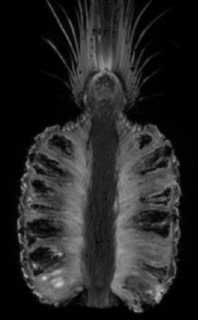 Zum Artikel "Mädchen & Technik – Wir waren dabei!"